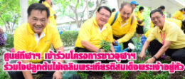 1ร่วมใจปลูกต้นไม้เฉลิมพระเกียรติสมเด็จพระเจ้าอยู่หัว